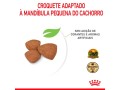 racao-royal-canin-mini-indoor-puppy-para-filhotes-de-caes-de-pequeno-porte-500-g-1-kg-e-25-kg-small-4