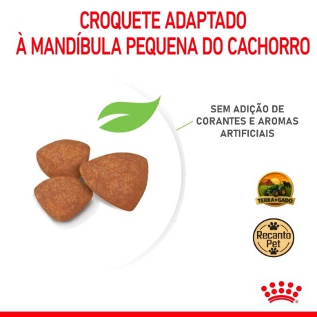 racao-royal-canin-mini-indoor-puppy-para-filhotes-de-caes-de-pequeno-porte-500-g-1-kg-e-25-kg-big-4