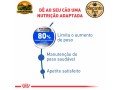 racao-royal-canin-medium-light-weight-care-para-caes-adultos-de-porte-medio-3-kg-e-12-kg-small-1