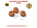 racao-royal-canin-medium-light-weight-care-para-caes-adultos-de-porte-medio-3-kg-e-12-kg-small-2