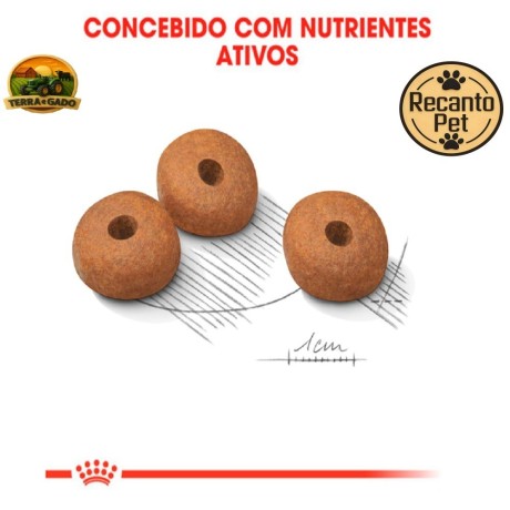 racao-royal-canin-medium-light-weight-care-para-caes-adultos-de-porte-medio-3-kg-e-12-kg-big-2