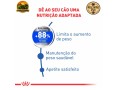 racao-royal-canin-mini-light-weight-care-para-caes-adultos-de-pequeno-porte-1-kg-3-kg-e-8-kg-small-1