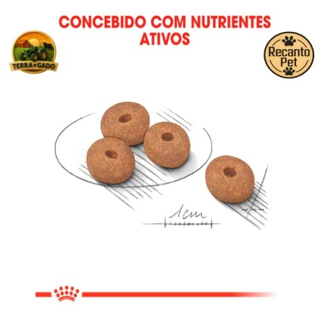 racao-royal-canin-mini-light-weight-care-para-caes-adultos-de-pequeno-porte-1-kg-3-kg-e-8-kg-big-2