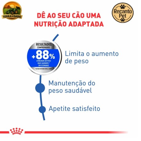racao-royal-canin-mini-light-weight-care-para-caes-adultos-de-pequeno-porte-1-kg-3-kg-e-8-kg-big-1