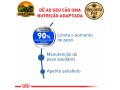 racao-royal-canin-maxi-light-weight-care-para-caes-adultos-de-grande-porte-3-kg-e-12-kg-small-1