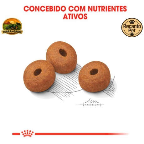 racao-royal-canin-maxi-light-weight-care-para-caes-adultos-de-grande-porte-3-kg-e-12-kg-big-2