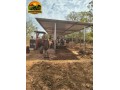 oportunidade-unica-sitio-produtivo-a-venda-em-santa-isabelgo-small-0