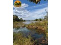 oportunidade-unica-sitio-produtivo-a-venda-em-santa-isabelgo-small-4