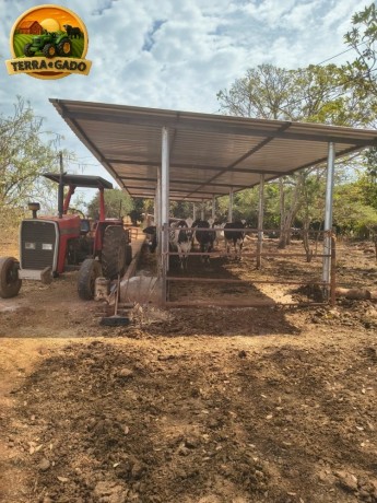 oportunidade-unica-sitio-produtivo-a-venda-em-santa-isabelgo-big-0