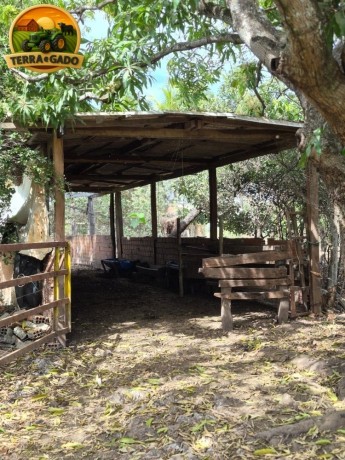 oportunidade-unica-sitio-produtivo-a-venda-em-santa-isabelgo-big-1