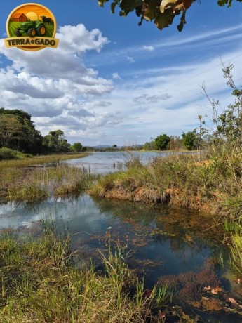oportunidade-unica-sitio-produtivo-a-venda-em-santa-isabelgo-big-4