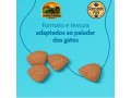 racao-premium-cat-vitalidade-para-gatos-adultos-1-kg-e-101-kg-small-2