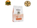 racao-royal-canin-premium-cat-pelagem-para-gatos-adultos-1-kg-e-101-kg-small-0