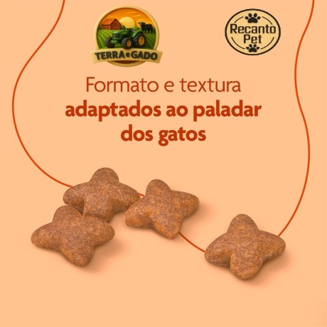 racao-royal-canin-premium-cat-pelagem-para-gatos-adultos-1-kg-e-101-kg-big-2