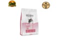 racao-royal-canin-premium-cat-filhote-para-gatos-filhotes-1-kg-e-101-kg-small-0