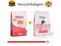 racao-royal-canin-premium-cat-filhote-para-gatos-filhotes-1-kg-e-101-kg-small-1