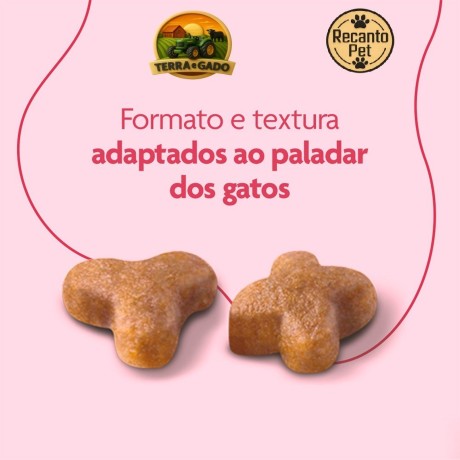 racao-royal-canin-premium-cat-filhote-para-gatos-filhotes-1-kg-e-101-kg-big-3