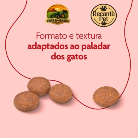 racao-royal-canin-premium-cat-castrado-para-gatos-adultos-castrados-1-kg-e-10-kg-big-2