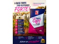 multibeef-cria-suplemento-para-bovinos-de-corte-mais-ganho-e-reproducao-small-0