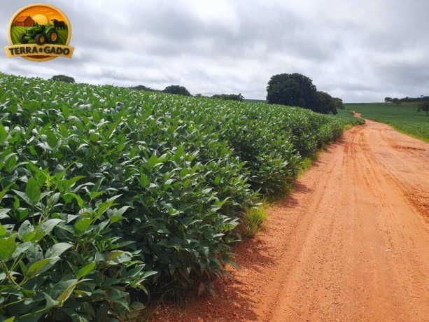 arrendamento-de-fazenda-630-ha-em-paraunago-lavoura-consolidada-ha-10-anos-big-0