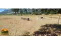 fazenda-de-134-alqueires-em-simolandiago-pecuaria-formada-e-potencial-para-agricultura-small-3