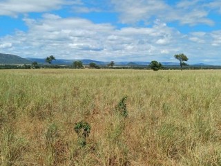 fazenda-de-134-alqueires-em-simolandiago-pecuaria-formada-e-potencial-para-agricultura