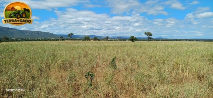 fazenda-de-134-alqueires-em-simolandiago-pecuaria-formada-e-potencial-para-agricultura-big-0