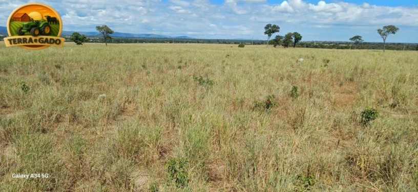 fazenda-de-134-alqueires-em-simolandiago-pecuaria-formada-e-potencial-para-agricultura-big-1