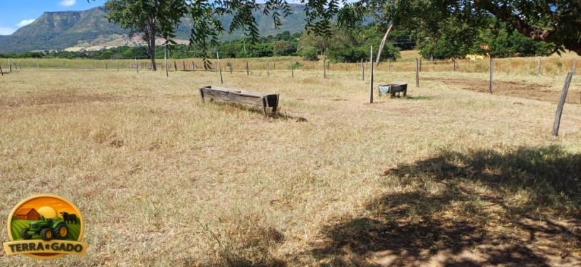 fazenda-de-134-alqueires-em-simolandiago-pecuaria-formada-e-potencial-para-agricultura-big-3