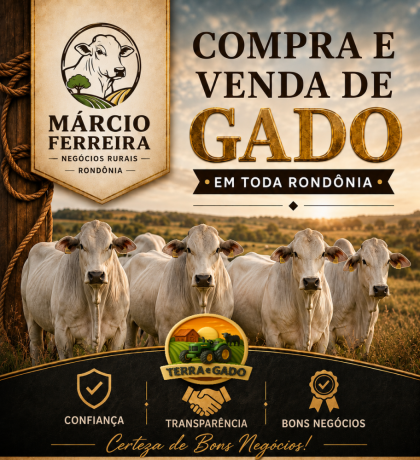 compra-e-venda-de-gado-em-rondonia-marcio-ferreira-negocios-rurais-big-0