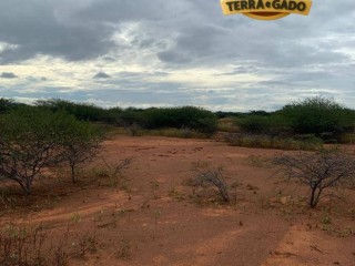 fazenda-435-hectares-beira-da-ba-052-potencial-irrigacao