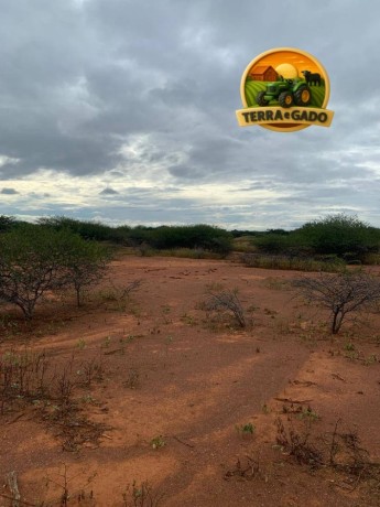 fazenda-435-hectares-beira-da-ba-052-potencial-irrigacao-big-0