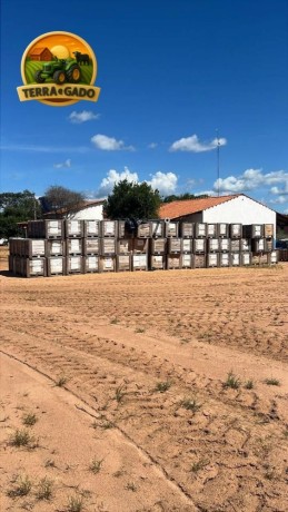 35-pivos-centrais-de-irrigacao-novos-zero-lote-para-700-ha-com-nota-fiscal-balsasma-big-0