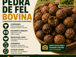 comprador-de-pedra-de-fel-bovina-em-rondonia-pagamento-imediato-e-melhor-avaliacao