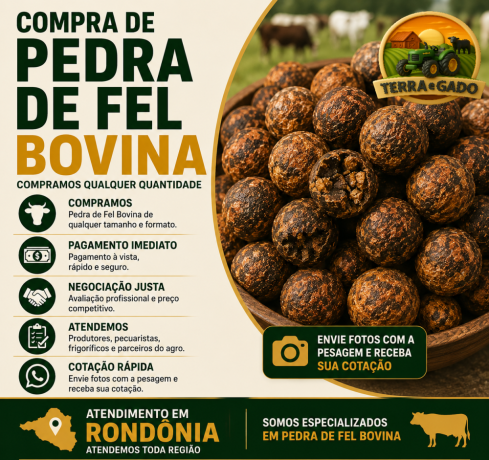 comprador-de-pedra-de-fel-bovina-em-rondonia-pagamento-imediato-e-melhor-avaliacao-big-0