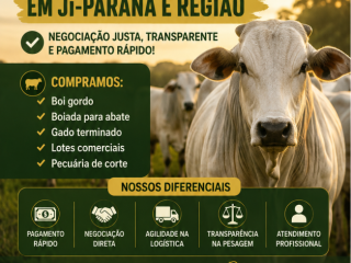 comprador-de-boi-gordo-em-ji-parana-e-regiao-pagamento-rapido-e-pesagem-transparente
