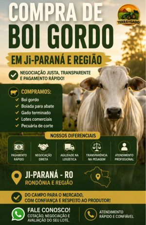 comprador-de-boi-gordo-em-ji-parana-e-regiao-pagamento-rapido-e-pesagem-transparente-big-0