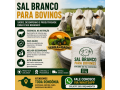 sal-branco-para-bovinos-de-alta-pureza-entrega-em-toda-rondonia-e-direto-da-fabrica-small-0