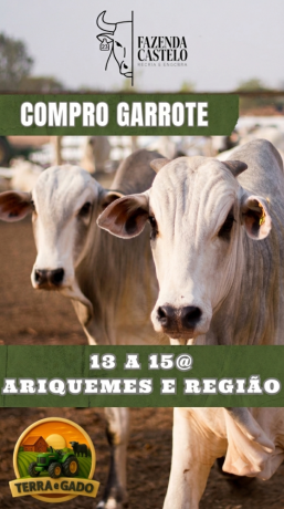 compro-garrotes-em-ariquemes-e-regiao-big-0