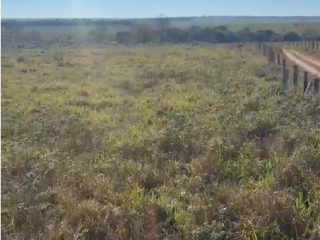 sitiofazenda-de-968-hectares-20-alq-em-comodoromt-726-ha-agricultaveis-muita-agua-e-estrutura-completa