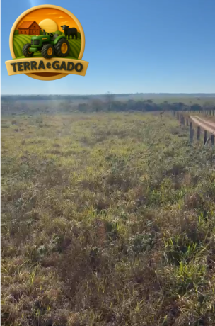 sitiofazenda-de-968-hectares-20-alq-em-comodoromt-726-ha-agricultaveis-muita-agua-e-estrutura-completa-big-0