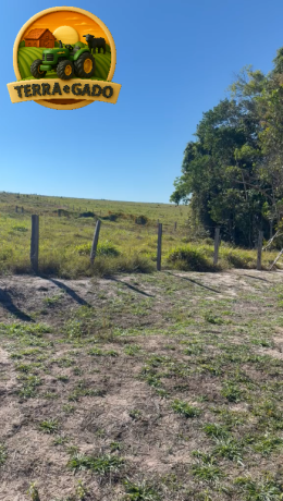 sitiofazenda-de-968-hectares-20-alq-em-comodoromt-726-ha-agricultaveis-muita-agua-e-estrutura-completa-big-2