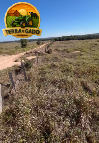 sitiofazenda-de-968-hectares-20-alq-em-comodoromt-726-ha-agricultaveis-muita-agua-e-estrutura-completa-big-1