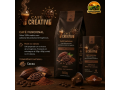cafe-funcional-creative-com-cacau-100-arabica-energia-e-foco-para-o-campo-small-0