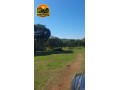fazenda-de-73-alqueires-com-dupla-aptidao-soja-cana-e-pecuaria-excelente-logistica-e-rica-em-agua-small-2