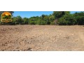 fazenda-de-73-alqueires-com-dupla-aptidao-soja-cana-e-pecuaria-excelente-logistica-e-rica-em-agua-small-1