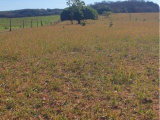 fazenda-de-73-alqueires-com-dupla-aptidao-soja-cana-e-pecuaria-excelente-logistica-e-rica-em-agua