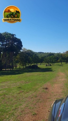 fazenda-de-73-alqueires-com-dupla-aptidao-soja-cana-e-pecuaria-excelente-logistica-e-rica-em-agua-big-2