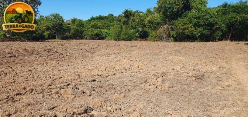 fazenda-de-73-alqueires-com-dupla-aptidao-soja-cana-e-pecuaria-excelente-logistica-e-rica-em-agua-big-1