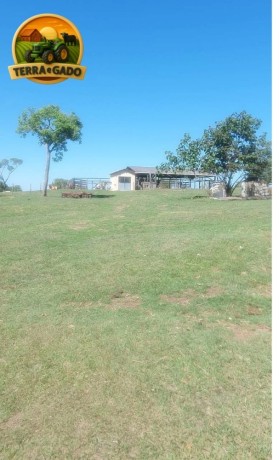 fazenda-de-73-alqueires-com-dupla-aptidao-soja-cana-e-pecuaria-excelente-logistica-e-rica-em-agua-big-3